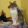 Отзыв от Ирина Журавлева